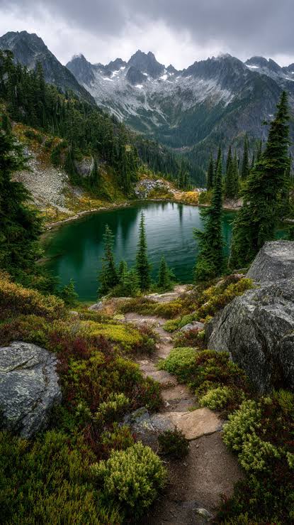 Tranquil alpine lake surrounded by fresh forest pines